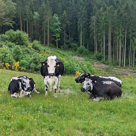 Ferme Authentique En Montagne - Max Pers. - Fr-1-589-870 *