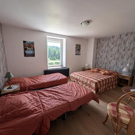 Ferme Authentique En Montagne - Max Pers. - Fr-1-589-870 Tatil Evi Girmont-Val-dʼAjol