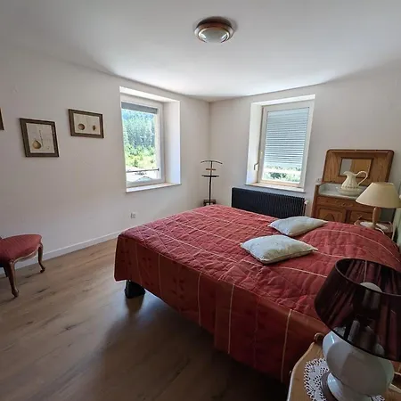 Ferme Authentique En Montagne - Max Pers. - Fr-1-589-870 * Girmont-Val-dʼAjol
