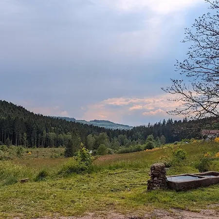 Ferme Authentique En Montagne - Max Pers. - Fr-1-589-870 Tatil Evi Girmont-Val-dʼAjol